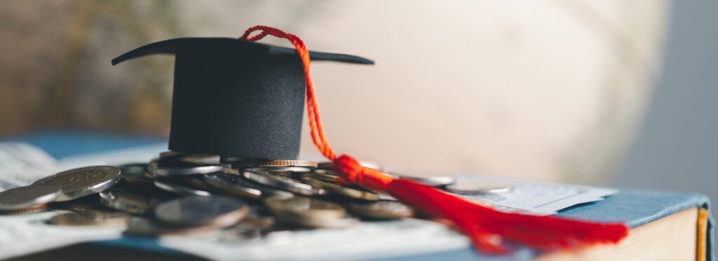 Study abroad consultant